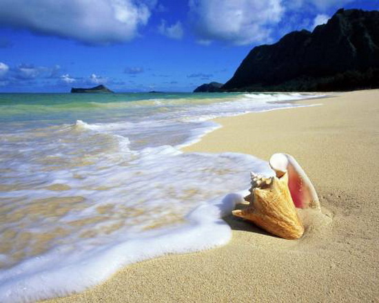 Морская косметика