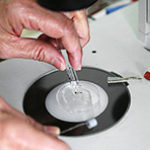 Вирус Зика поможет вылечить рак мозга