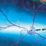 Ученые научились угадывать намерения