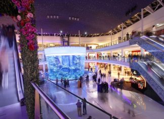 Что можно найти в ТРЦ Моремолл?