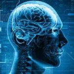 Что происходит в мозге геймера