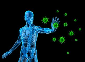 Причины и профилактика нарушений в работе иммунной системы