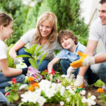 Где узнать полезную информацию родителям?