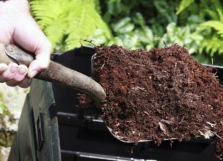 Покупаем грунт для сада