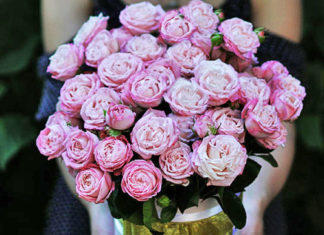 Доставка цветов в Киеве