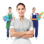 Что важно учитывать при подборе домашнего персонала?