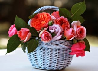 Советы по выбору красивого букета