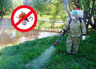 Акарицидная обработка участка