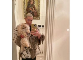 Волочкова о чучеле кота в своей спальне: «Котик умер два месяца назад»