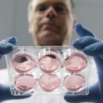 ЭКО в Ташкенте: какую клинику выбрать