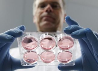 ЭКО в Ташкенте: какую клинику выбрать