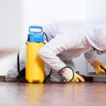 Служба дезинфекции в Москве: как разбираться с вредителями