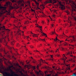 Букет из 101 розы, эффектный жест внимания