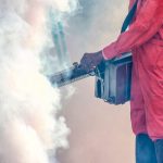 Фумигация комаров: эффективные способы борьбы с насекомыми