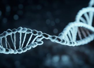 Натуральные пептиды: важность и преимущества их использования