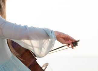 Скрипка мечты: поэтапное обучение игре на скрипке от новичка до виртуоза