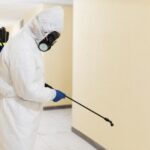 Дезинфекция тараканов методом холодного тумана: эффективность, принцип действия и особенности обработки