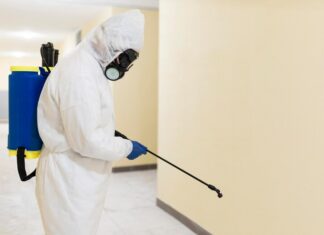 Дезинфекция тараканов методом холодного тумана: эффективность, принцип действия и особенности обработки