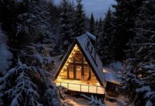 Треугольный дом с камином в лесу: аренда для отдыха от городской суеты