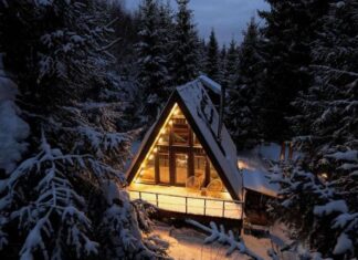 Треугольный дом с камином в лесу: аренда для отдыха от городской суеты