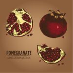 символ чего гранат значение и история