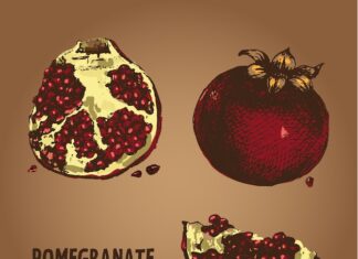 символ чего гранат значение и история