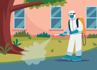 Обработка участка от насекомых: профессиональный подход