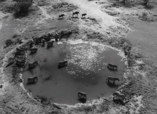 ураган на марсе причины и последствия