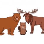 как приготовить лося рецепты и советы