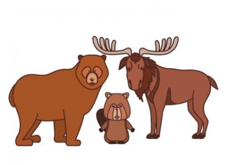 как приготовить лося рецепты и советы