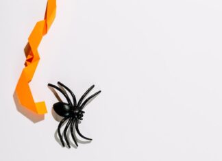 паук на ардуино управление и сборка