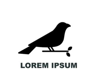 значение символа ворона в культуре и мифологии