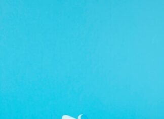 сон про синий автомобиль значение и толкование