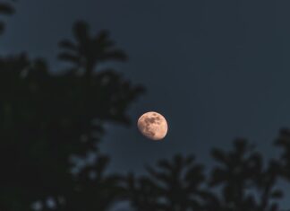 сонник лунное затмение значение и толкование