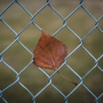 сонник упал забор значение и толкование