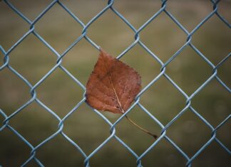 сонник упал забор значение и толкование