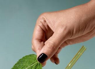 как сделать мохито в домашних условиях