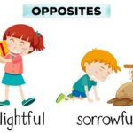 какой я прилагательные описание характера