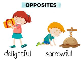 какой я прилагательные описание характера