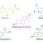 химический состав атмосферы венеры
