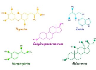 химический состав атмосферы венеры
