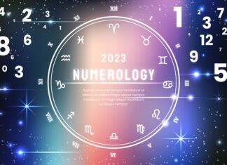 22 августа знак зодиака и его особенности