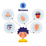 10 жезлов чувства как понять и использовать