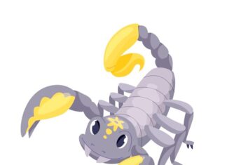 скорпионы первой декады их особенности и влияние