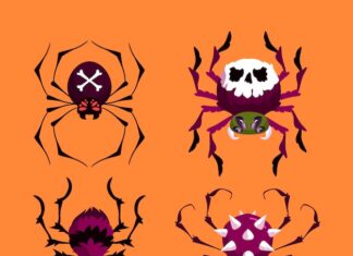 что означает паук в интернете и природе