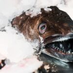 треск счетчика гейгера причины и значение