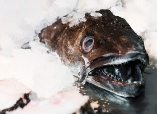 треск счетчика гейгера причины и значение