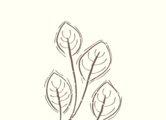 значение тату листья символика и смысл