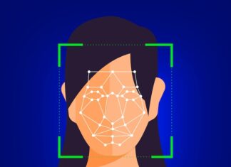 сканер формы лица как определить свой тип