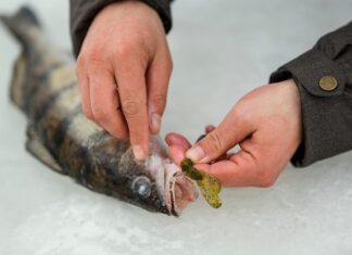 сонник рыбу разделывать значение и толкование